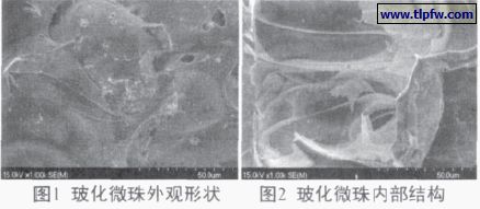 ?；⒅橥庥^形狀及內(nèi)部結(jié)構(gòu)